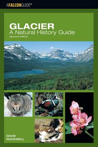 Produktbild: Glacier: A Natural History Guide