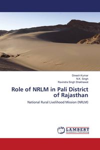 Produktbild: Role of NRLM in Pali District of Rajasthan
