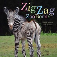 Produktbild: Zigzag Zooborns!