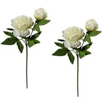 Produktbild: HTI-Living Pfingstrose 2er Set Wei&szlig; Flora Pfingstrose 2er Set Wei&szlig; Flora