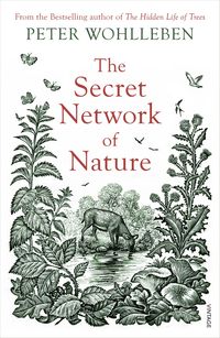 Produktbild: The Secret Network of Nature