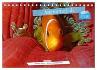 Produktbild: Anemonefish - always busy - always on the move (Desk Calendar 2026 DIN A5 landscape), CALVENDO 12 Month DeskCalendar