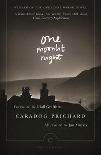 Produktbild: One Moonlit Night