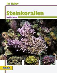 Produktbild: Steinkorallen