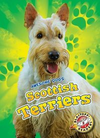 Produktbild: Polinsky, P: Scottish Terriers