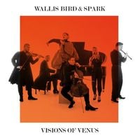 Produktbild: Visions of Venus