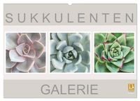 Produktbild: Sukkulenten Galerie (Wandkalender 2026 DIN A2 quer), CALVENDO Monatskalender