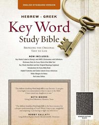 Produktbild: The Hebrew-Greek Key Word Study Bible
