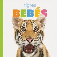 Produktbild: Tigres Beb&eacute;s