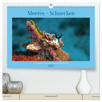 Produktbild: Meeres-Schnecken (hochwertiger Premium Wandkalender 2027 DIN A2 quer), Kunstdruck in Hochglanz