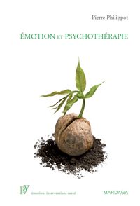 Produktbild: &Eacute;motion et psychoth&eacute;rapie