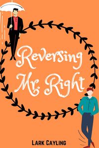 Produktbild: Reversing Mr. Right