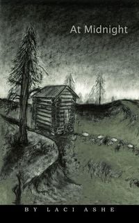 Produktbild: At Midnight