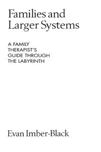Produktbild: Families and Larger Systems