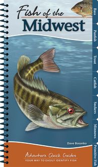Produktbild: Fish of the Midwest