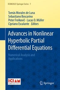 Produktbild: Advances in Nonlinear Hyperbolic Partial Differential Equations