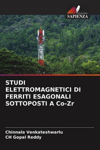 Produktbild: Studi Elettromagnetici Di Ferriti Esagonali Sottoposti a Co-Zr