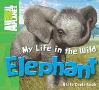Produktbild: My Life in the Wild: Elephant