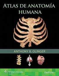 Produktbild: Olinger, A: Atlas de anatom&iacute;a humana