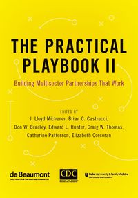 Produktbild: The Practical Playbook II