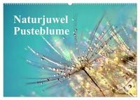 Produktbild: Naturjuwel Pusteblume (Wandkalender 2027 DIN A2 quer), CALVENDO Monatskalender