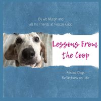 Produktbild: Lessons from the Coop