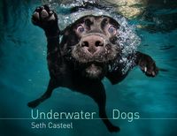 Produktbild: Underwater Dogs