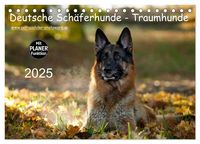 Produktbild: Deutsche Schäferhunde - Traumhunde (Tischkalender 2025 DIN A5 quer), CALVENDO Monatskalender