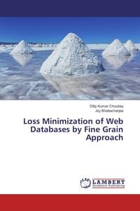 Produktbild: Loss Minimization of Web Databases by Fine Grain Approach