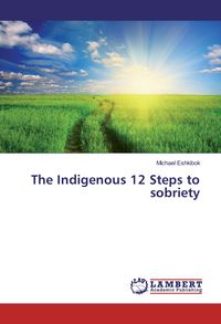 Produktbild: The Indigenous 12 Steps to sobriety