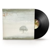 Produktbild: Wind & Wuthering