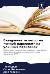Produktbild: Vnedrenie tehnologii 'umnoj parkowki' na ulichnyh parkowkah