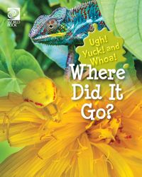 Produktbild: Where Did It Go?