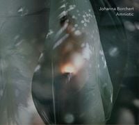 Produktbild: Borchert, J: Amniotic