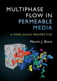 Produktbild: Multiphase Flow in Permeable Media