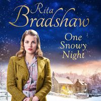 Produktbild: One Snowy Night