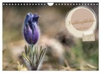Produktbild: Fr&uuml;hlingsbl&uuml;her - Farbenpracht nach dem Winter (Wandkalender 2026 DIN A4 quer), CALVENDO Monatskalender