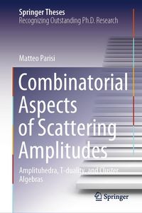Produktbild: Combinatorial Aspects of Scattering Amplitudes