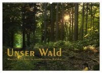Produktbild: Unser Wald - Magische Sichten in norddeutsche W&auml;lder / Geburtstagskalender (Wandkalender 2026 DIN A2 quer), CALVENDO Monatskalender