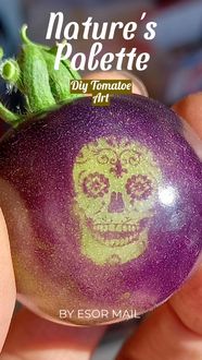 Produktbild: Nature's Palette