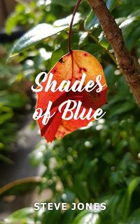 Produktbild: Shades of Blue