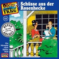 Produktbild: TKKG - Folge 53: Sch&uuml;sse aus der Rosenhecke