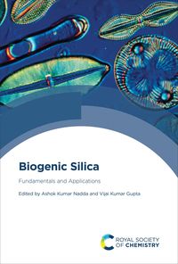 Produktbild: Biogenic Silica