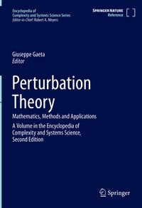 Produktbild: Perturbation Theory