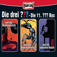 Produktbild: 3er-Box (Folge 31-33)