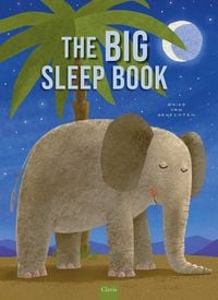 Produktbild: Big Sleep Book