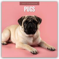 Produktbild: Pugs &ndash; Mops 2027 &ndash; 16-Monatskalender