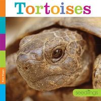 Produktbild: Tortoises