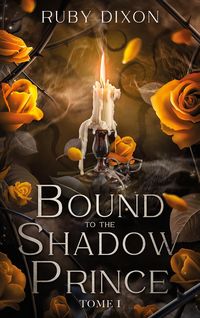 Produktbild: Bound to the shadow prince - tome 1
