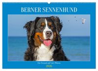 Produktbild: Berner Sennenhund - Ein Freund auf vier Pfoten (Wandkalender 2026 DIN A2 quer), CALVENDO Monatskalender